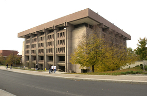 Four incidents of graffiti were found in and around the Irving Garage and Bird Library, according to DPS.
