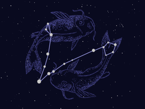  For the first edition of the Astrology column, Hines explains how astrologers interpret the effect the natural world has on humans’ everyday lives.