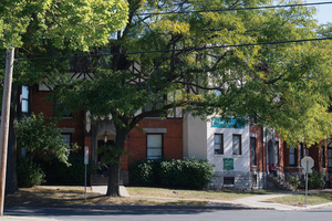 The funding will build on Syracuse’s Urban Forestry Master Plan from 2019 to plant trees and increase youth education and job training.